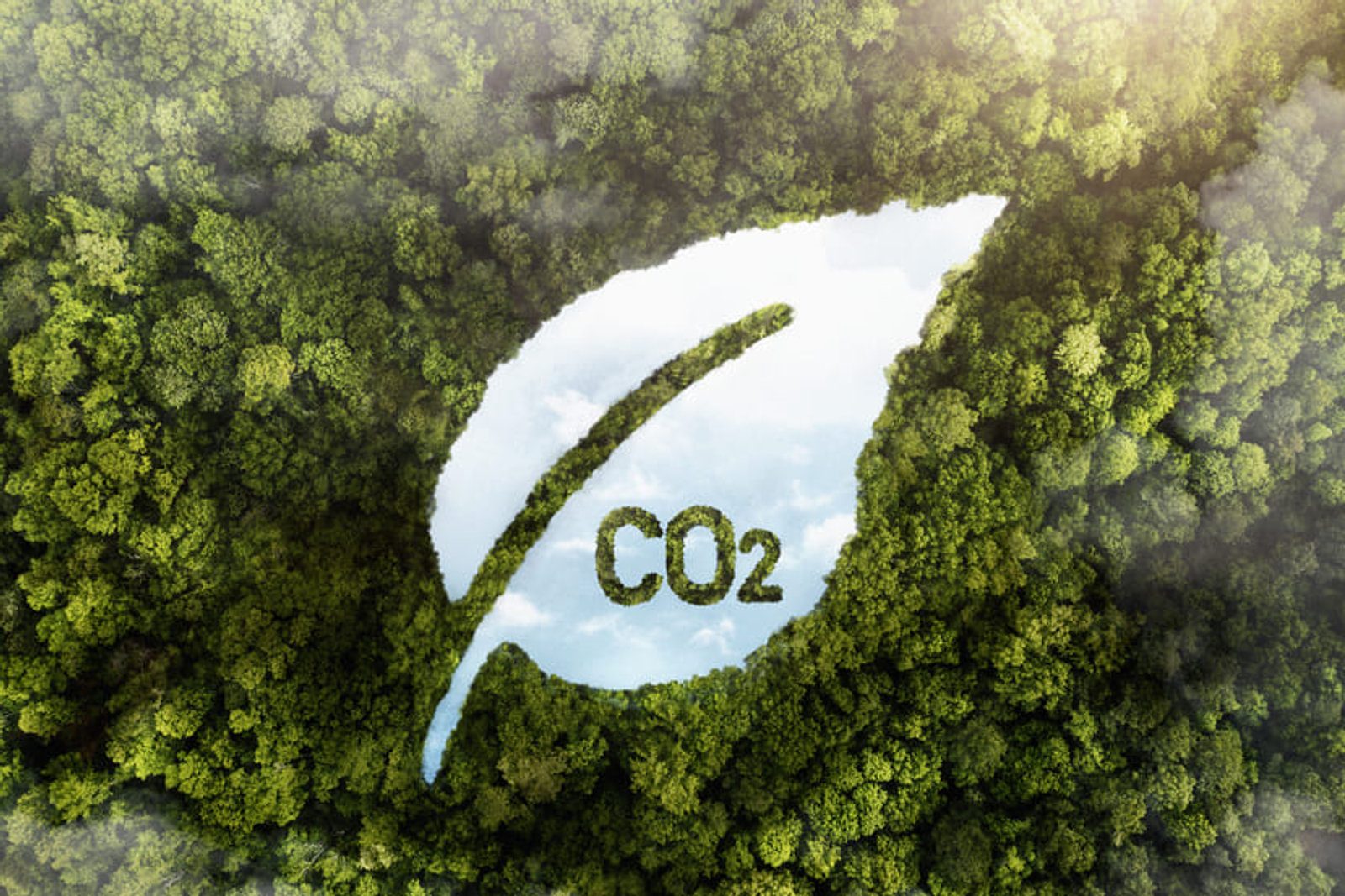 Sustainable exhibition stand